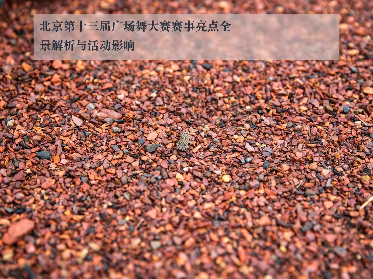北京第十三届广场舞大赛赛事亮点全景解析与活动影响